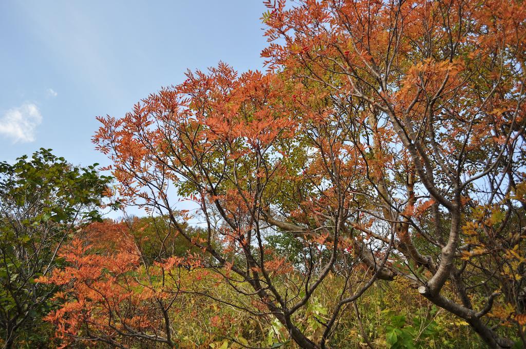 ホテル 湯元銀泉閣 神河町 エクステリア 写真